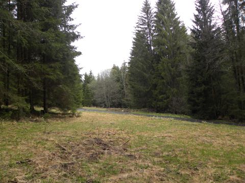 Foto 52